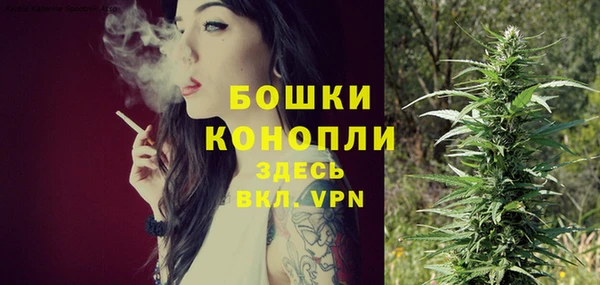 ешки Белокуриха
