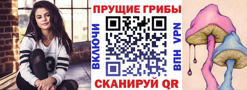 Псилоцибиновые грибы MAGIC MUSHROOMS  blacksprut ссылка  Пойковский 